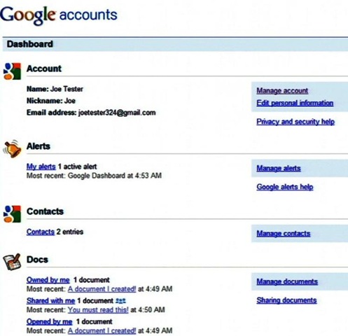 [google-dashboard-5[3].jpg]