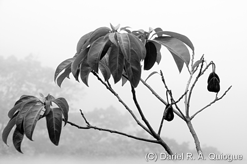 [_MG_59952.jpg]