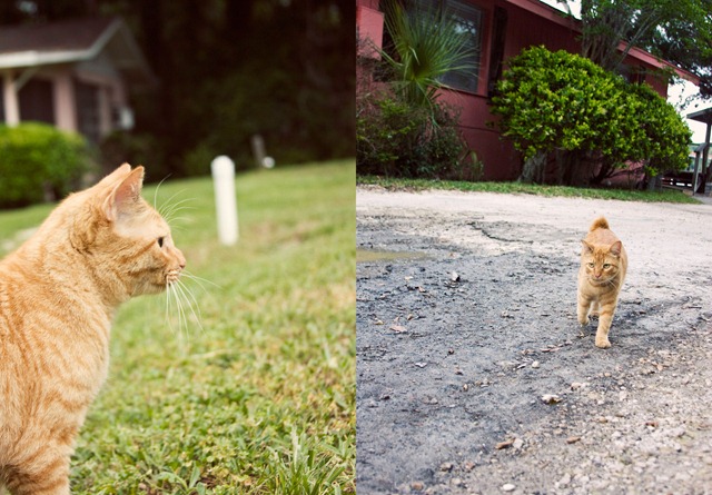 [diptych1[5].jpg]