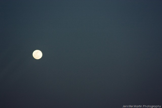 [moon[8].jpg]