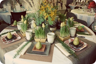 IMG_0207 copy