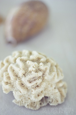 [Misty details5[7].jpg]