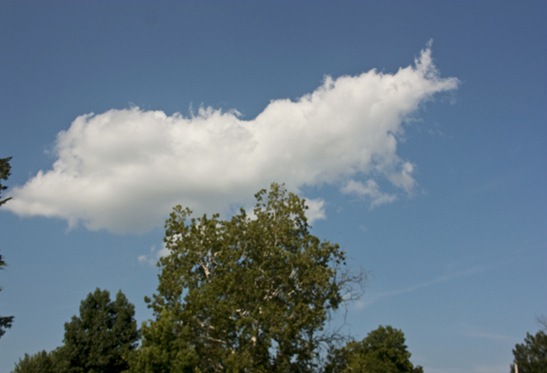 gavincloud copy