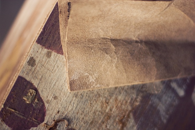 [sandpaper[6].jpg]