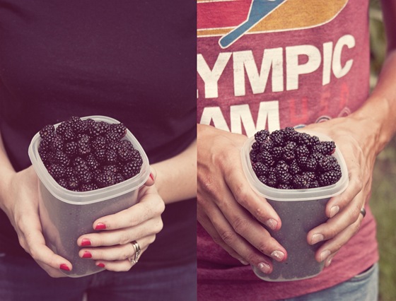 BERRY DIPTYCH