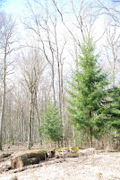 DSC_1764.JPG Photo