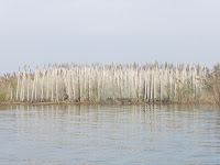 17 Lignano_Marano 025.jpg Photo