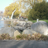 El lago Zurich