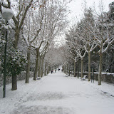 Paseo principal de la Quinta de los molinos