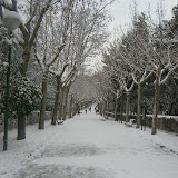 Paseo del parque de la Quinta de los molinos