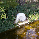 CIMG0459.JPG