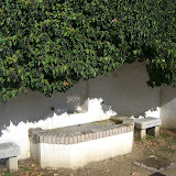 CIMG0465.JPG