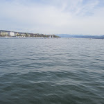 IMG_0906.JPG