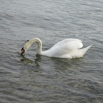 IMG_0914.JPG
