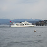 IMG_0916.JPG