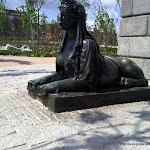 Fotografía1619.jpg
