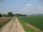 http://lh4.ggpht.com/_Q-b3D5rJSGo/S-b3gIlRc4I/AAAAAAAADGg/SZyHJMx-ztY/NamecheSclaigneaux%20037.jpg