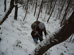 http://lh4.ggpht.com/_Q-b3D5rJSGo/S0oxv9wW0LI/AAAAAAAABsg/iPZKv9WETAQ/P1030651.JPG