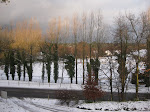 http://lh4.ggpht.com/_Q-b3D5rJSGo/S1LS1t9bvII/AAAAAAAAB08/8l2OqTk_hyo/Hardelot%20%28291%29.jpg