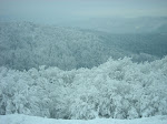 http://lh4.ggpht.com/_Q-b3D5rJSGo/S1LwX7JySYI/AAAAAAAAB30/ooLhn-wr3nI/Vosges2010%20%28144%29.jpg