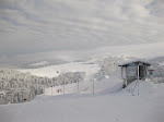 http://lh4.ggpht.com/_Q-b3D5rJSGo/S1LyMJAFjjI/AAAAAAAAB8o/Nr8MNMTfAzM/Vosges2010%20127.jpg