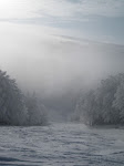 http://lh4.ggpht.com/_Q-b3D5rJSGo/S1LyazImCUI/AAAAAAAAB9I/ZxY0FgDZxxs/Vosges2010%20143.jpg