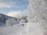 http://lh4.ggpht.com/_Q-b3D5rJSGo/S1LyeBOFMaI/AAAAAAAAB9Q/Hv-cT5-ZVxY/Vosges2010%20148.jpg