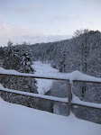 http://lh4.ggpht.com/_Q-b3D5rJSGo/S2na-WuFt_I/AAAAAAAACZo/LlwbGdm0vxI/FagnesMutzenich%20078.jpg