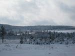http://lh4.ggpht.com/_Q-b3D5rJSGo/S2naQAGig2I/AAAAAAAACYE/ZlujFrAbQ64/FagnesMutzenich%20042.jpg