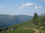 http://lh4.ggpht.com/_Q-b3D5rJSGo/S_z-ptfdkHI/AAAAAAAADQg/16PPVewsS4I/VosgesMai2010%20233.jpg