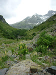http://lh4.ggpht.com/_Q-b3D5rJSGo/StHf3fXpaSI/AAAAAAAAAEs/dJKVVao-VuM/P1000074.JPG