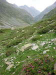 http://lh4.ggpht.com/_Q-b3D5rJSGo/StHgB7Rbx6I/AAAAAAAAAFA/pXEyAXKYro4/P1000077.JPG
