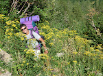 http://lh4.ggpht.com/_Q-b3D5rJSGo/StHmRYipBFI/AAAAAAAAAPY/E7VEd7BIDsk/P1000144.JPG