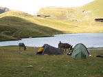 http://lh4.ggpht.com/_Q-b3D5rJSGo/StHnYKcadHI/AAAAAAAAARI/Y1dZds7UD-A/IMG_4189.jpg