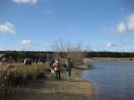 http://lh4.ggpht.com/_Q-b3D5rJSGo/SwvCF5jl0AI/AAAAAAAAAwY/IzLokS3altw/CampineLommel%20035.jpg