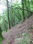 http://lh4.ggpht.com/_Q-b3D5rJSGo/TAOhw0JxQAI/AAAAAAAADfM/ebfJDWCqHAc/Riviere%20093.jpg