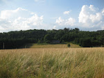 http://lh4.ggpht.com/_Q-b3D5rJSGo/TDwW4DyrTaI/AAAAAAAAD0I/9VS-i8TaQSE/Ruhrsee%20086.jpg