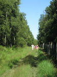 http://lh4.ggpht.com/_Q-b3D5rJSGo/TEQ7C4S8PXI/AAAAAAAAD6s/M-P-4w-SJHg/LesMazures%20060.jpg