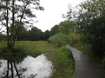 http://lh4.ggpht.com/_Q-b3D5rJSGo/TI3c5jWQonI/AAAAAAAAEIg/kFvngrqb6vg/ZouteCadzand%20003.jpg