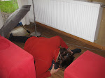 http://lh4.ggpht.com/_Q-b3D5rJSGo/TMVMED3GJiI/AAAAAAAAEW8/MzQz77uvN48/Neubempt%20118.jpg