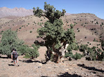 http://lh4.ggpht.com/_Q-b3D5rJSGo/TNb1intrBUI/AAAAAAAAEuU/b32bkLB8gsg/MarocBest%20%28419%29.JPG