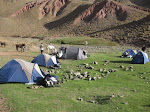 http://lh4.ggpht.com/_Q-b3D5rJSGo/TNbyssCTZYI/AAAAAAAAEnU/fEVz1-CbHlc/MarocBest%20%28331%29.JPG