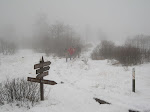 http://lh4.ggpht.com/_Q-b3D5rJSGo/TQXwxG1K1zI/AAAAAAAAFDk/4v13_Cfq-ho/FagnesNordEstDEC2010%20014.jpg