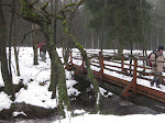http://lh4.ggpht.com/_Q-b3D5rJSGo/TQXwzoE8CgI/AAAAAAAAFDs/xE-Fcxgf-WM/FagnesNordEstDEC2010%20018.jpg
