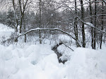 http://lh4.ggpht.com/_Q-b3D5rJSGo/TRhetZAy1HI/AAAAAAAAFLY/snwu9GiUO2w/LosheimergrabenSkideFond%20059.jpg