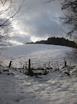 http://lh4.ggpht.com/_Q-b3D5rJSGo/TSLfXnbrq5I/AAAAAAAAFO8/Ig_OYP3RCUg/Gistoux%20%28132%29.jpg