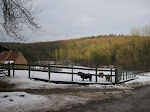 http://lh4.ggpht.com/_Q-b3D5rJSGo/TSLfZTsk3hI/AAAAAAAAFPA/noBOVam5jbY/Gistoux%20%28133%29.jpg