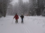 http://lh4.ggpht.com/_Q-b3D5rJSGo/TU-uw8OppRI/AAAAAAAAFZU/6FRh8b3Pah0/LosheimergrabenSkideFond%20301.jpg