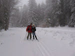 http://lh4.ggpht.com/_Q-b3D5rJSGo/TU-uyRZ3AWI/AAAAAAAAFZY/SfDzfq8J2KY/LosheimergrabenSkideFond%20302.jpg