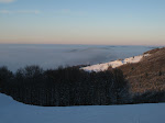http://lh4.ggpht.com/_Q-b3D5rJSGo/TUqvLs5LZiI/AAAAAAAAFYM/VN5_cWpRJ1A/Vosges2011%20031.JPG